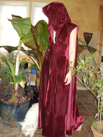 Velvet Cape Dress